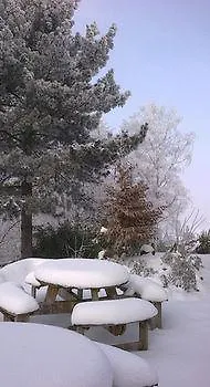 Vertes Feuilles فندق 2*