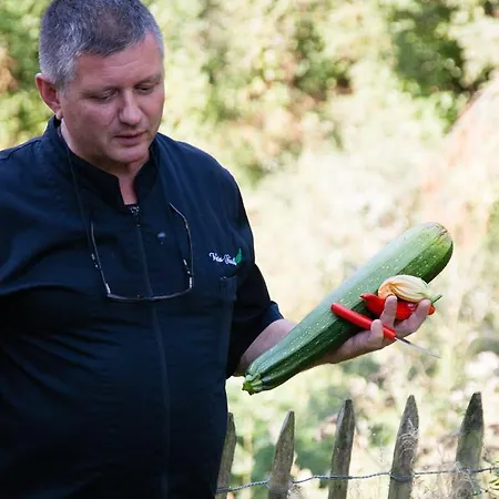 Vertes Feuilles Hotel