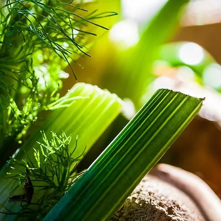 فندق Vertes Feuilles Saint-Sauveur