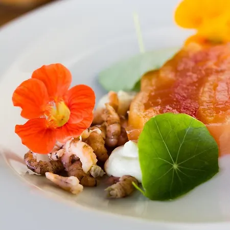 Vertes Feuilles Saint-Sauveur