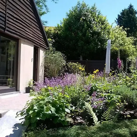 فندق Vertes Feuilles Saint-Sauveur