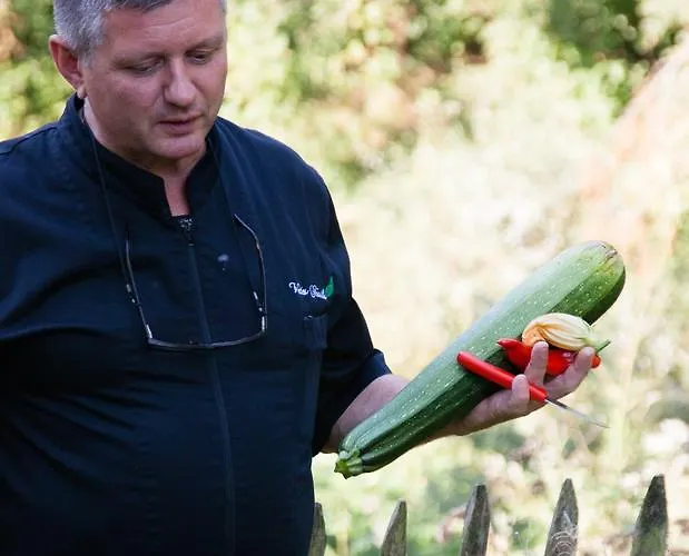 Vertes Feuilles ホテル