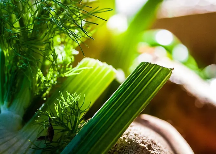 ホテル Vertes Feuilles Saint-Sauveur