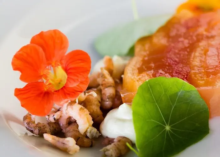 Vertes Feuilles Saint-Sauveur