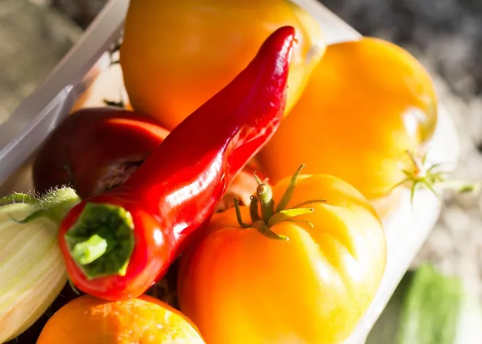 ホテル Vertes Feuilles